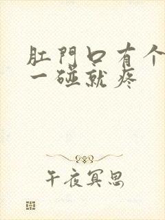 肛门口有个疙瘩一碰就疼