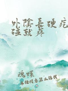 外阴长硬疙瘩一碰就疼