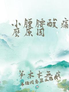 小腹腰酸痛是什么原因