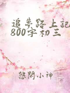 追梦路上记叙文800字初三