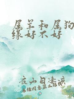 属羊和属狗配姻缘好不好