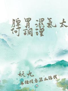 脾胃湿气太重如何调理