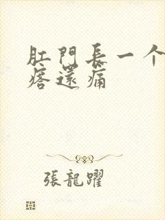 肛门长一个硬疙瘩还痛