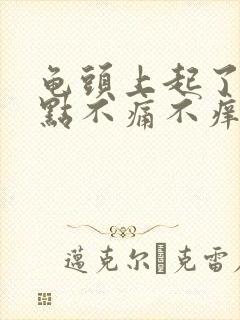 龟头上起了个红点不痛不痒