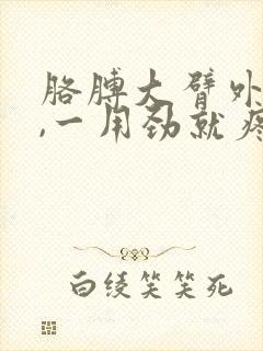 胳膊大臂外侧疼,一用劲就疼