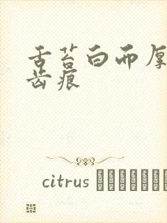 舌苔白而厚腻有齿痕