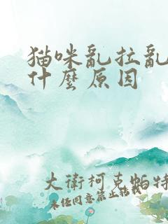 猫咪乱拉乱尿是什么原因