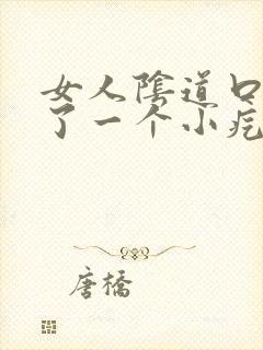 女人阴道口处长了一个小疙瘩