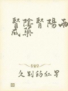 肾阴肾阳两虚中成药