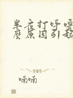 半夜打呼噜是什么原因引起的