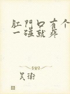 肛门口有个肉球一碰就疼