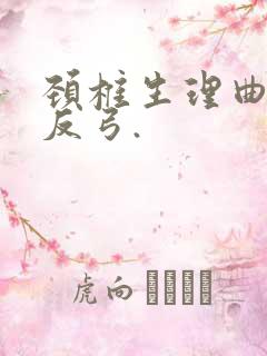 颈椎生理曲度稍反弓.