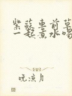 紫苏车前草放在一起煮水喝有什么功效