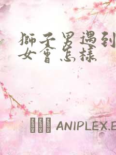 狮子男遇到水瓶女会怎样