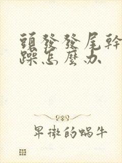 头发发尾干枯毛躁怎么办