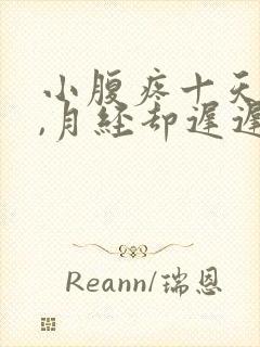 小腹疼十天有余,月经却迟迟不来