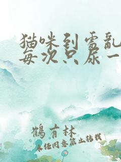 猫咪到处乱尿,每次只尿一点