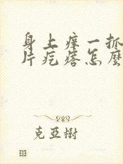 身上痒一抓就一片疙瘩怎么回事