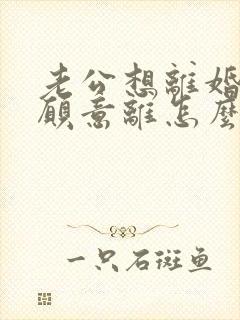 老公想离婚我不愿意离怎么样对付