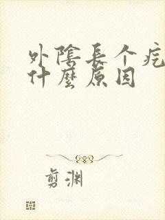 外阴长个疙瘩是什么原因