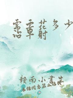 需要花多少费用治早射