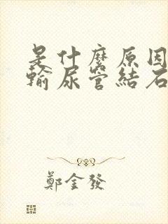 是什么原因会得输尿管结石