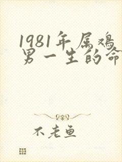 1981年属鸡男一生的命运