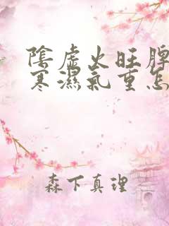 阴虚火旺脾胃虚寒湿气重怎么调理