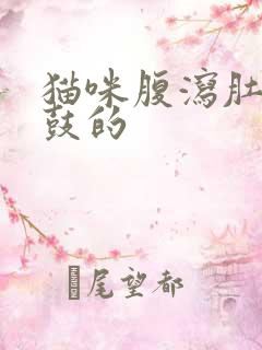 猫咪腹泻肚子鼓鼓的