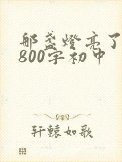 那盏灯亮了作文800字初中