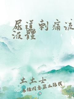 尿道刺痛流黄色液体