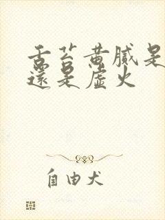 舌苔黄腻是实火还是虚火