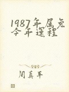 1987年属兔今年运程