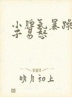 小脾气暴躁的孩子易怒