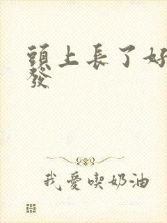 头上长了好多白发