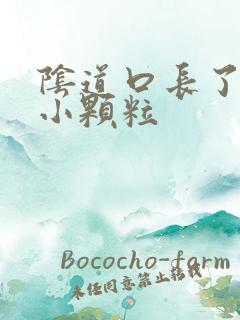 阴道口长了好多小颗粒