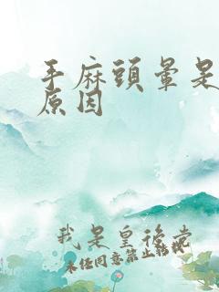 手麻头晕是什么原因