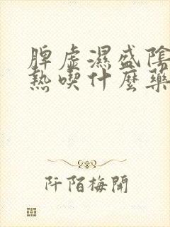 脾虚湿盛阴虚内热吃什么药