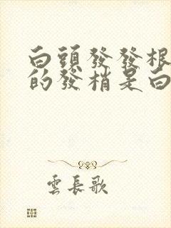 白头发发根是黑的发梢是白的 为什么