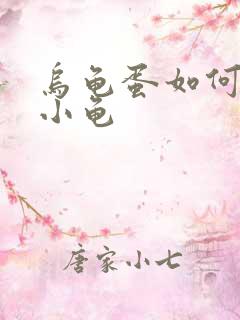 乌龟蛋如何孵化小龟