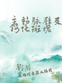 主动脉壁及冠脉钙化斑块