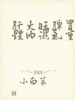 肝火旺脾胃不好体内湿气重