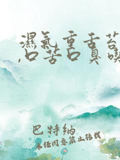 湿气重舌苔厚白,口苦口臭吃什么药