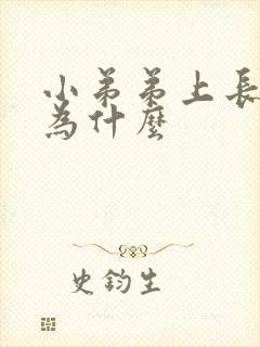 小弟弟上长水泡为什么