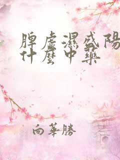 脾虚湿盛阳虚吃什么中药