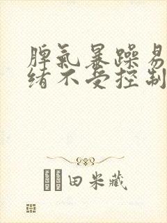 脾气暴躁易怒情绪不受控制老是打孩子