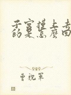 子宫摸上去硬硬的是怎么回事