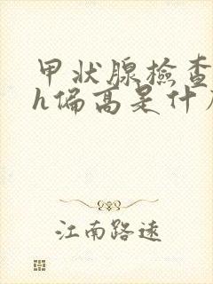 甲状腺检查tsh偏高是什么意思