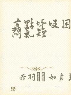 有点呼吸困难胸闷气短