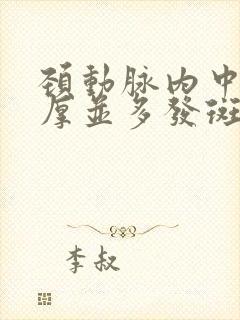 颈动脉内中膜增厚并多发斑块形成